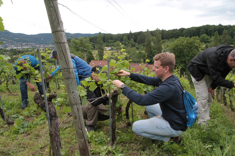 E.E. Zunft zu Rebleuten - Anlässe 2019