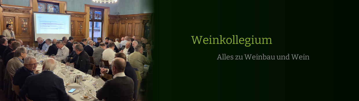 E.E. Zunft zu Rebleuten - Zunftleben Weinkollegium