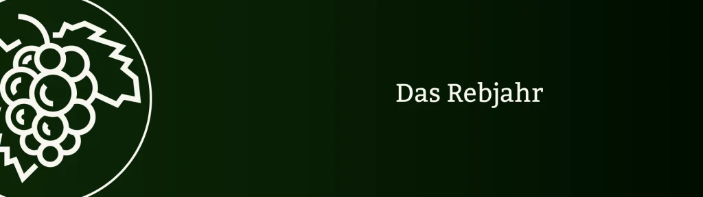 E.E. Zunft zu Rebleuten - Zunftwinzer E.E. Zunft zu Rebleuten - Zunftwinzer