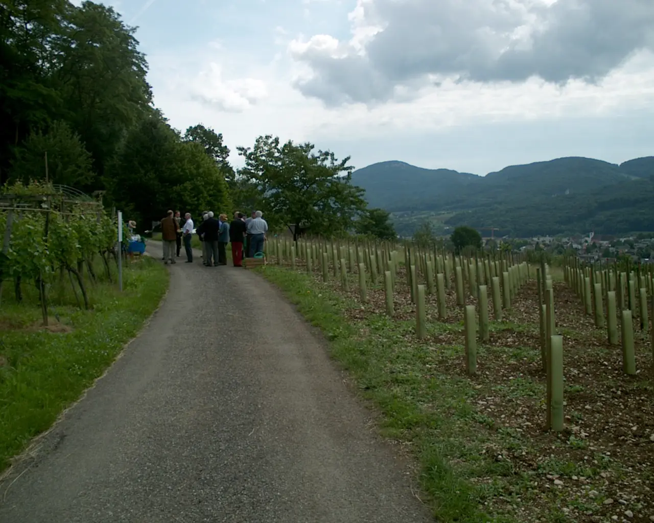 E.E. Zunft zu Rebleuten - 2002