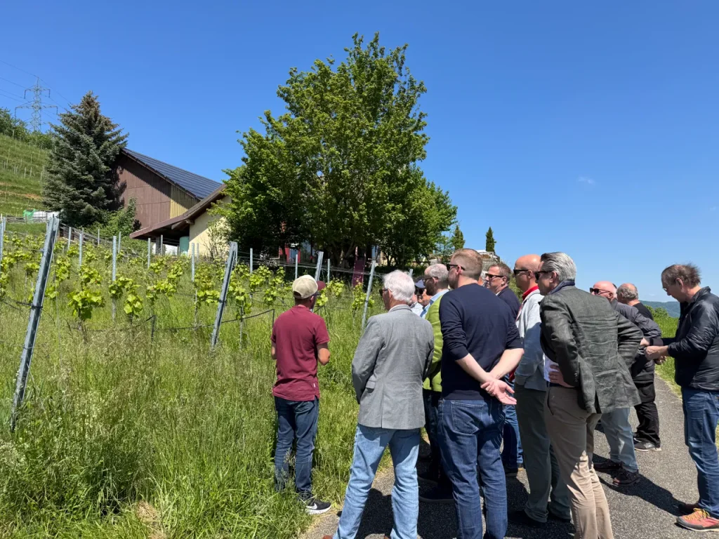 E.E. Zunft zu Rebleuten - Zunftwinzerausflüge