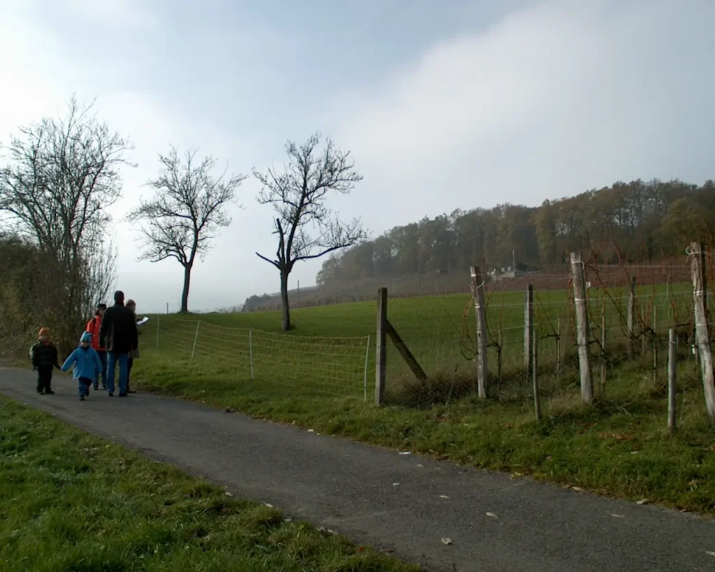 E.E. Zunft zu Rebleuten - 2001
